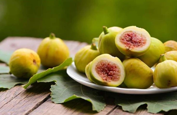 Əncir haqqında vacib məqam – Yeyərkən nəyə diqqət etməliyik?&nbsp;&nbsp;