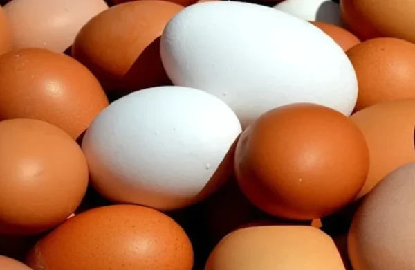 Bu ölkədə yumurtalarla bağlı xəbərdarlıq: Yüzlərlə insan xəstəxanaya yerləşdirildi