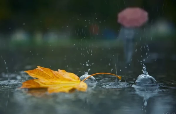 Sentyabrda hava necə olacaq? - Pronqoz&nbsp;
