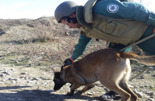 Son beş ildə ANAMA-ya 60-dan çox minaaxtaran it bağışlanılıb&nbsp;