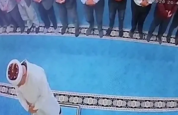 Pişiyə görə həbs edildi -DETALLAR