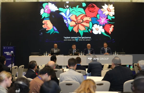 COP31-in keçiriləcəyi məkanla bağlı detallar açıqlanıb 