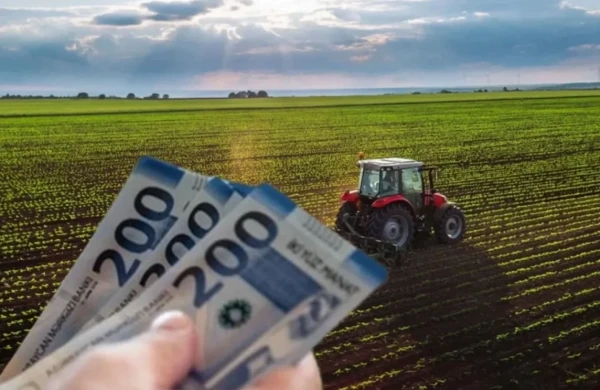 2027-ci ildən fermerlərə böyük dəstək: Yeni subsidiya məbləğləri&nbsp;&nbsp;