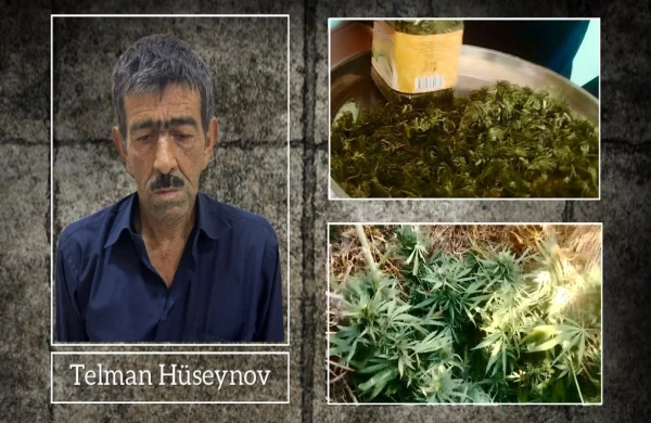 Ucarda narkotik tərkibli bitkilər yetişdirən şəxs saxlanılıb