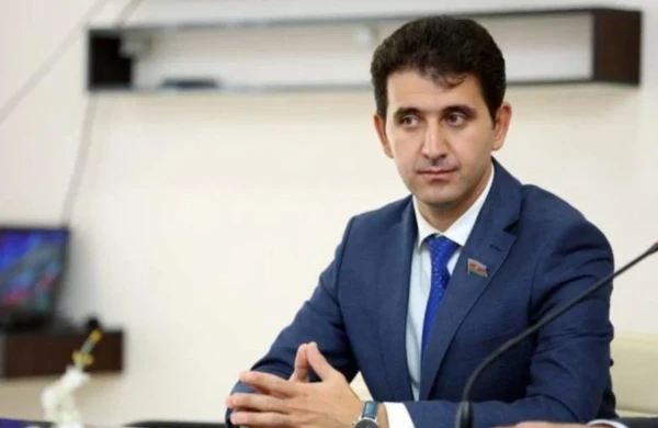 Gəncənin deputatı Milli Məclisdə bu problemdən danışdı
