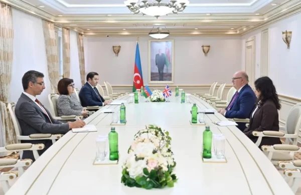 Sahibə Qafarova yeni səfirlə görüşdü 