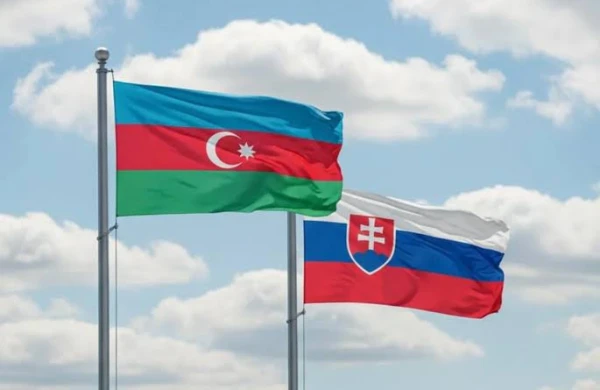 Slovakiyanın müdafiə naziri Azərbaycana gəlib 