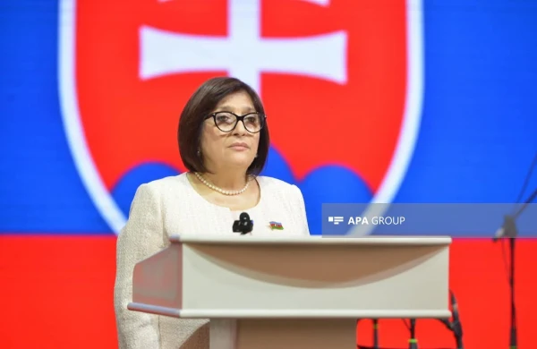 Sahibə Qafarova: Azərbaycan-Slovakiya münasibətləri strateji tərəfdaşlıq səviyyəsinə yüksəlib&nbsp;