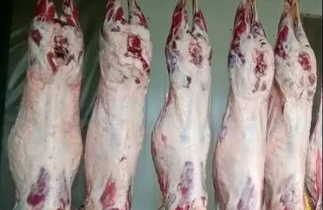 Azərbaycanda quzu əti bahalaşdı - Video&nbsp;