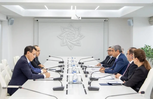 Azərbaycan və BMT arasında sosial sahədə əməkdaşlıq müzakirə olundu - FOTO  