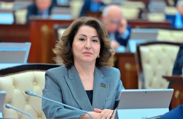 Tamam Cəfərova: Azərbaycan–Laos münasibətləri yeni mərhələyə qədəm qoyur