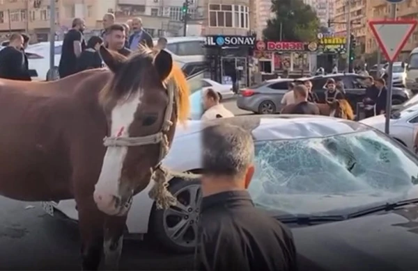 Bakıda maşın atla toqquşdu - Video 