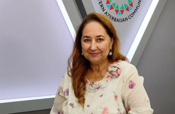 "Dostluq bərabərlikdir, ağıl öyrətmək yox" -Telli Pənahqızı