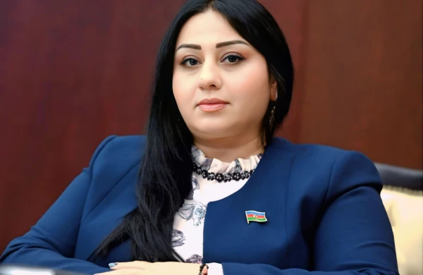 Milli Məclisin deputatından&nbsp; Türkiyədəki aksiyalara ETİRAZ