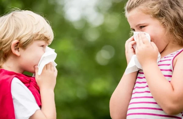 Allergik rinit zamanı burunda nə baş verir?