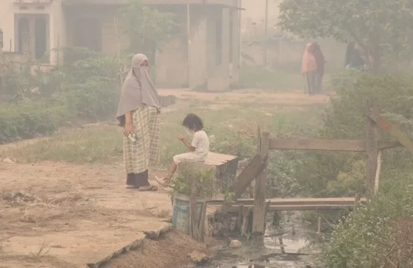 Meşələr yandı,ölkəni infeksiya bürüdü - Müsəlman ölkəsində DƏHŞƏT