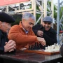 Anar Ələkbərov bulvarda təqaüdçülərlə şahmat oynadı - Fotolar