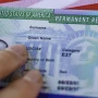 "Green card" qaydalarında dəyişiklik edildi