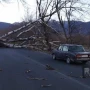 Göyçayda güclü külək fəsadlara yol açıb&nbsp;
