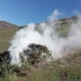 Yardımlıda xeyli narkotik bitki məhv edilib&nbsp;