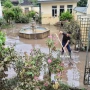 Qəbələdə güclü leysan yağışlarından sonra evlərin həyətinə su dolub, yollarda hərəkət məhdudlaşıb