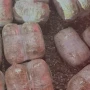 Sabunçuda 19 kiloqramdan artıq narkotik aşkarlanıb&nbsp;