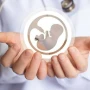 Qadın ərinin razılığı olmadan abort etdirə bilərmi? – Qanun nə deyir?&nbsp;&nbsp;