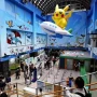 Yaponiyada "Pokemon" hava limanı açıldı