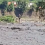 Balakəndə selə düşən şəxs xilas edildi
