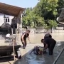 Su basmış ərazilərdə FHN-in fəaliyyəti davam edir