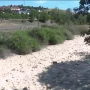 Fransada istilər çayların qurumasına səbəb olur&nbsp;&nbsp;