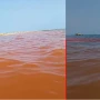 Çimərlikdə dəniz suyu QƏHVƏYİ RƏNGƏ boyandı