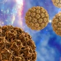 HPV xərçəng riskini artıra bilər – Mütəxəssislərdən vacib çağırış