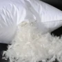 Dünyanın ən bahalı ördək tükü: Bir yorğanın qiyməti 14 min avrodan başlayır&nbsp;&nbsp;