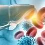 Autoimmun hepatit zamanı bədən öz hüceyrələrinə necə hücum edir? —&nbsp;Mütəxəssisdən VACİB AÇIQLAMA