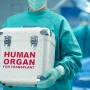 Azərbaycanda 1400-dən artıq şəxs orqan və toxuma transplantasiyası üçün növbə gözləyir - RƏSMİ&nbsp;