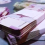 Büdcədən 192 milyon manata yaxın vəsait geri qaytarılıb 