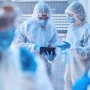 Bu ölkədə yeni virus sürətlə yayılır&nbsp;