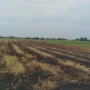 Bölgələrdə yanğın törədən 3 nəfər məsuliyyətə cəlb olundu&nbsp;