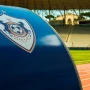 "Qarabağ" dayanmır:1 gündə 3-cü transfer!