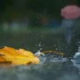 Sentyabrda hava necə olacaq? - Pronqoz&nbsp;