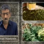 Ucarda narkotik tərkibli bitkilər yetişdirən şəxs saxlanılıb