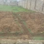 Ələtdə torpaq 50 faiz bahalaşıb - Qiymətlər niyə artır?
