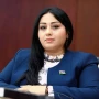 Milli Məclisin deputatından&nbsp; Türkiyədəki aksiyalara ETİRAZ