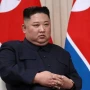 Kim Çen İnın beyin qanaması keçirdiyi və komada olduğu iddia edilir