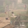 Meşələr yandı,ölkəni infeksiya bürüdü - Müsəlman ölkəsində DƏHŞƏT