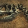 Dinozavr skeleti 47,3 milyon dollara satıldı