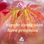 Noyabr ayına olan hava proqnozu açıqlanıb&nbsp;